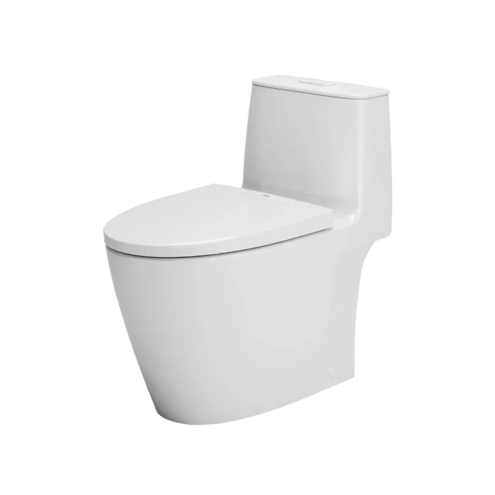Bồn cầu 1 khối AC-902VN
